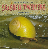 Secret Lives of Seashell Dwellers