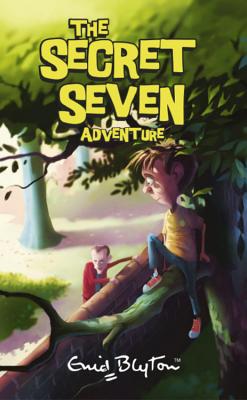 Secret Seven Adventure: Book 2 - Blyton, Enid