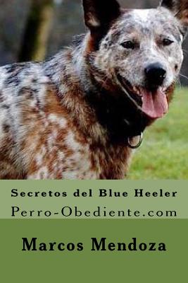 Secretos del Blue Heeler: Perro-Obediente.com - Mendoza, Marcos