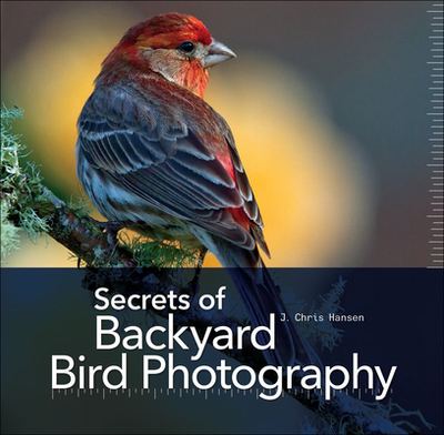 Secrets of Backyard Bird Photography - J Chris Hansen