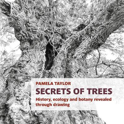Secrets of Trees: History, ecology and botany revealed through drawing - Taylor, Pamela