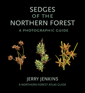 Sedges of the Northern Forest: A Photographic Guide
