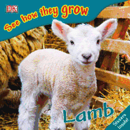 See How They Grow: Lamb