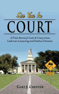 See You in Court: A Trial Attorney's Look at Crazy Cases, Ludicrous Lawyering and Dubious Decisions