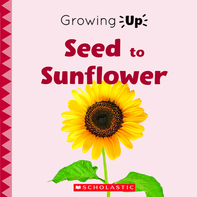 Seed to Sunflower (Growing Up) (Paperback) - Herrington, Lisa M