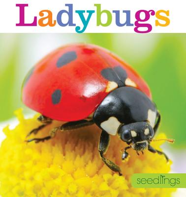 Seedlings: Ladybugs - Frisch, Aaron