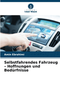 Selbstfahrendes Fahrzeug - Hoffnungen und Bed?rfnisse