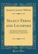 Select Ferns and Lycopods: British and Exotic, Comprising Descriptions of Nine Hundred Choice Species and Varieties, Accompanied by Directions for Their Management in the Tropical, Temperate, and Hardy Fernery (Classic Reprint)