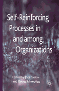 Self-Reinforcing Processes in and Among Organizations