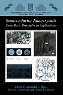 Semiconductor Nanocrystals: From Basic Principles to Applications