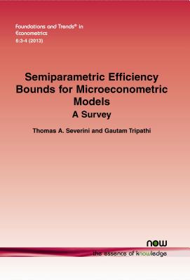 Semiparametric Efficiency Bounds for Microeconometric Models: A Survey - Severini, Thomas A, and Tripathi, Gautam