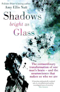 Shadows Bright As Glass: The Extraordinary Transformation of One Man's Brain - and the Neuroscience that Makes Us Who We Are