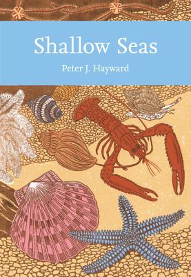 Shallow Seas - Hayward, Peter