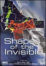 Shapes of the Invisible - Pierre Oscar Levy