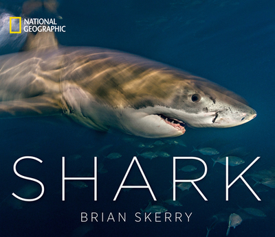 Shark - Skerry, Brian (Photographer)