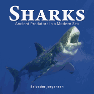 Sharks: Ancient Predators in a Modern Sea