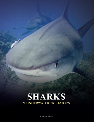 Sharks and Underwater Predators - Jackson, Tom