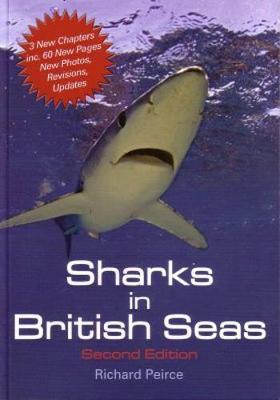 Sharks in British Seas - Peirce, Richard