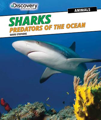 Sharks: Predators of the Ocean - Stephens, David