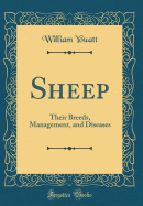 Sheep: Their Breeds, Management, and Diseases (Classic Reprint)