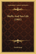 Shells and Sea Life (1901)