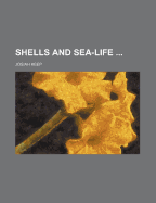 Shells and Sea-Life