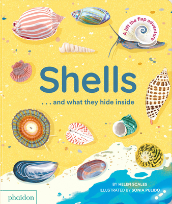 Shells... and what they hide inside: A Lift-the-Flap Adventure - Scales, Helen, and Pulido, Sonia (Artist)