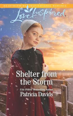 Shelter from the Storm - Davids, Patricia