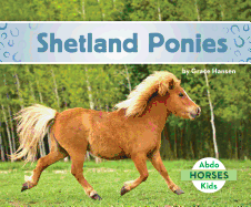 Shetland Ponies - Hansen, Grace