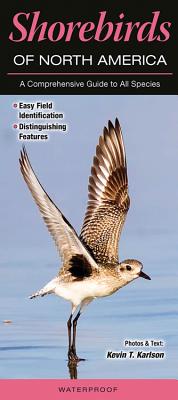 Shorebirds of North America: A Comprehensive Guide to All Species - Karlson, Kevin T
