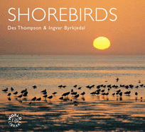 Shorebirds - Thompson, Des, and Byrkjedal, Ingvar