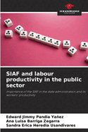 SIAF and labour productivity in the public sector