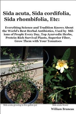 Sida acuta, Sida cordifolia, Sida rhombifolia, Etc.: Everything Science and Tradition Knows about the World's Best Herbal Antibiotics, Used by Millions of People Every Day, Top Ayurvedic Herbs, Protein-Rich Survival Plants, Superior Fiber, Grow Them... - Bruneau, William L