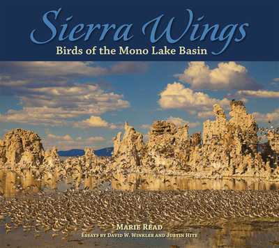 Sierra Wings: Birds of the Mono Lake Basin - Read, Marie, and Winkler, David W, Professor (Text by), and Hite, Justin, Mr. (Text by)