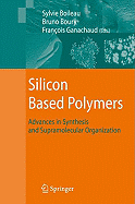 Silicon Based Polymers: Advances in Synthesis and Supramolecular Organization