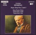 Sinding: Piano Trios Nos. 2 and 3