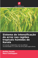 Sistema de intensificao do arroz nas regies tropicais hmidas de Kerala