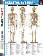 Skeletal System SparkCharts