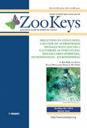 Skeletons in Confusion: a Review of Astrophorid Sponges with (dicho-)calthrops as Structural Megascleres (Porifera, Demospongiae, Astrophorida)