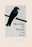 Sketches of Nature From Maine - Willson, Brian L.