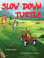 Slow Down Turtle