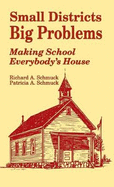 Small Districts, Big Problems: Making School Everybody s House