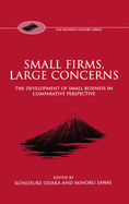 Small Firms, Large Concerns 'The Development of Small Business in Comparative Perspective'