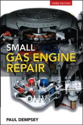 Small Gas Engine Repair - Dempsey, Paul