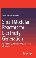 Small Modular Reactors for Electricity Generation: An Economic and Technologically Sound Alternative