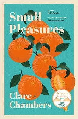 Small Pleasures: Longlisted for the Women's Prize for Fiction 2021 - Chambers, Clare