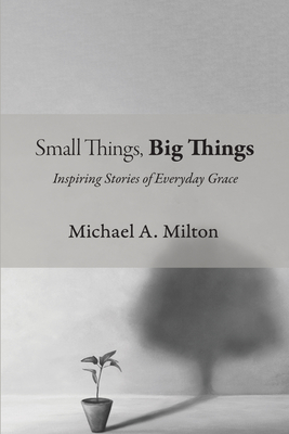 Small Things, Big Things: Inspiring Stories of Everyday Grace - Milton, Michael A