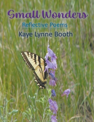 Small Wonders - Booth, Kaye Lynne