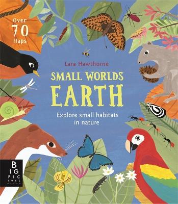 Small Worlds: Earth - Hawthorne, Lara (Illustrator), and Bedoyere, Camilla De La
