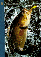 Smallmouth Bass - Sternberg, Dick